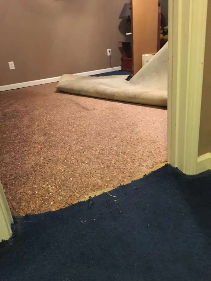 Carpet pad removal revealing water damage during Drying & Dehumidification in Poolesville